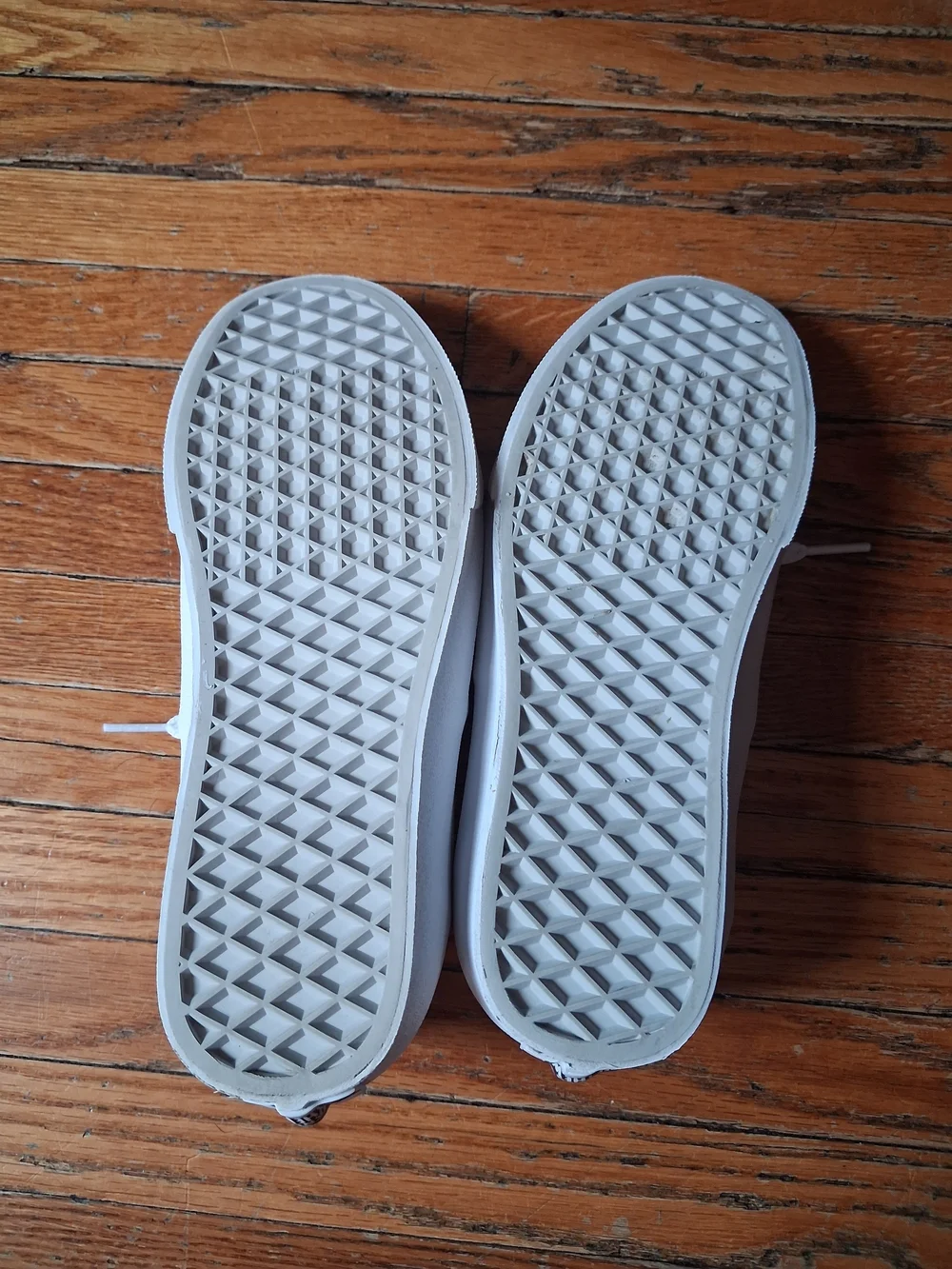 Vans Authentic Low Top Canvas Sneakers in White